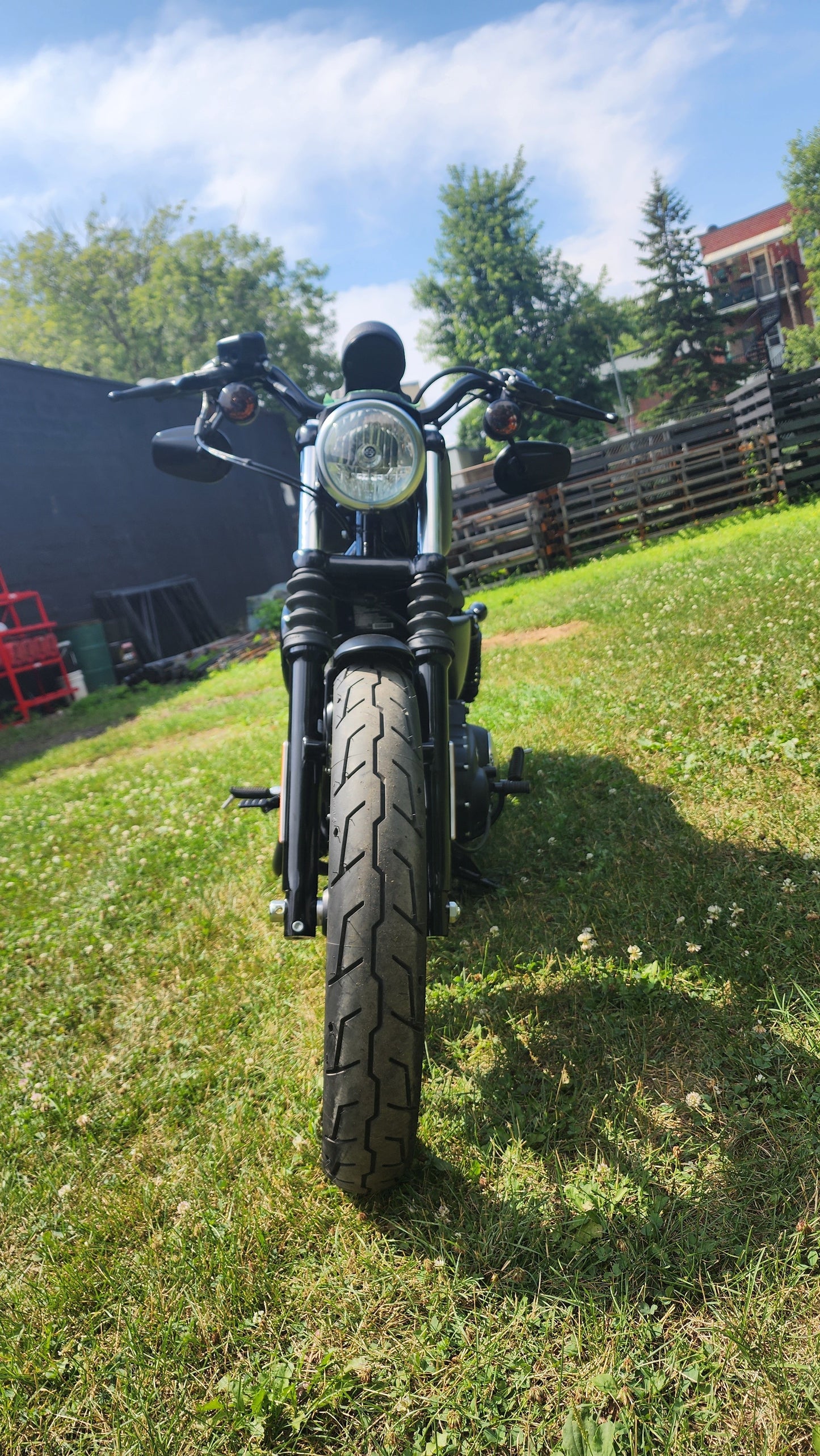 2022 Harley Davidson 883 Iron