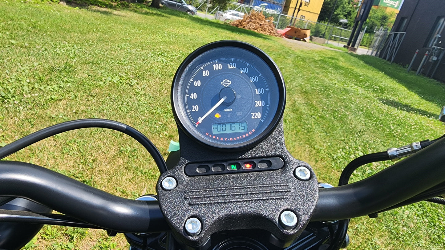 2022 Harley Davidson 883 Iron