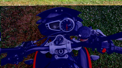 2016 STREET TRIPLE RX ABS SE