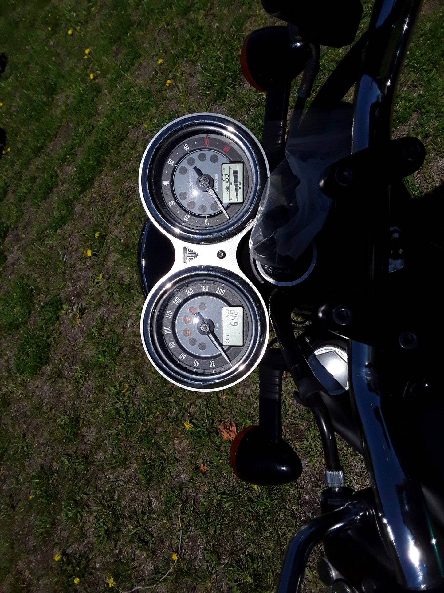 2022 T100 GOLD EDITION