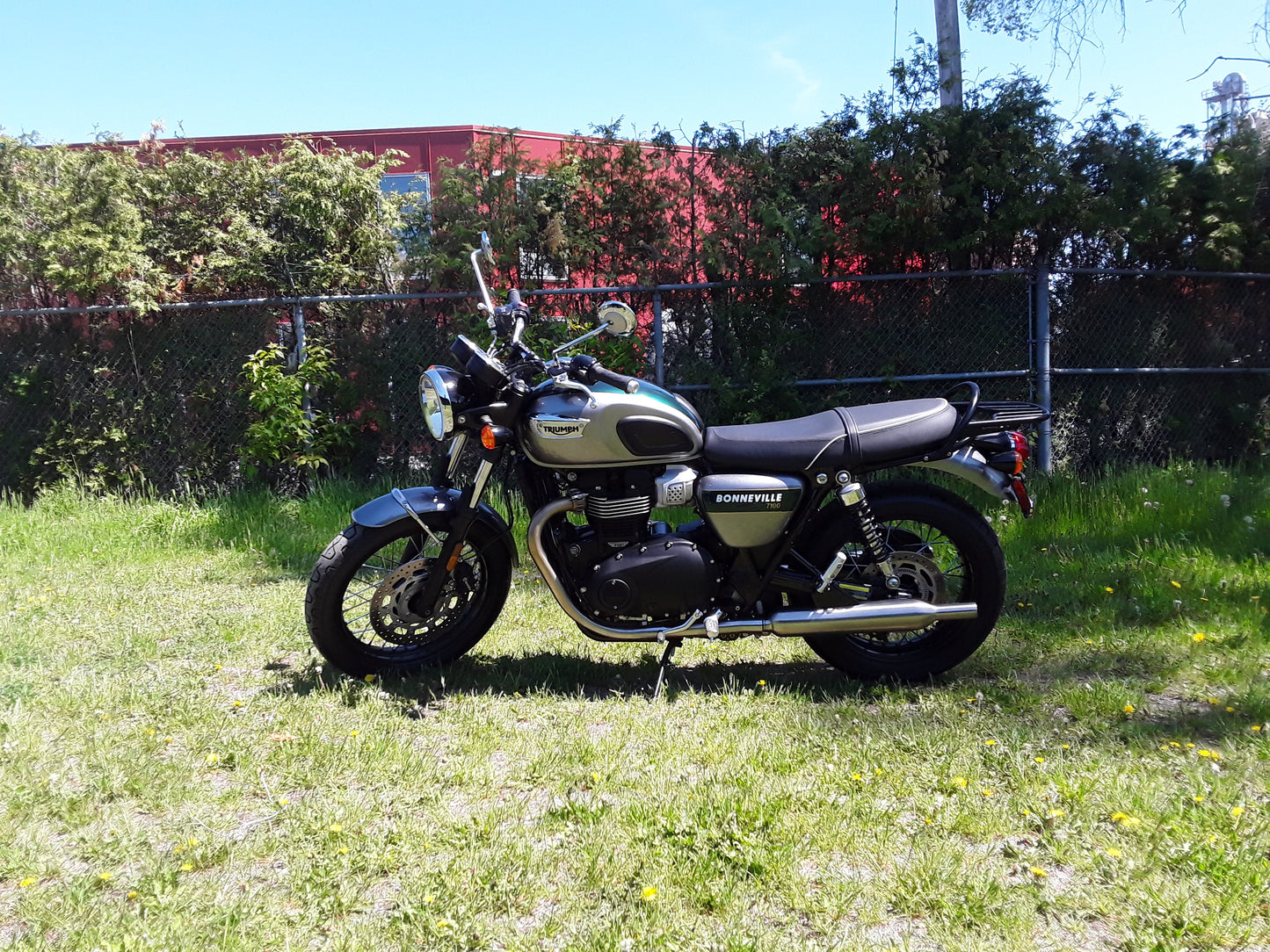 2022 T100 GOLD EDITION