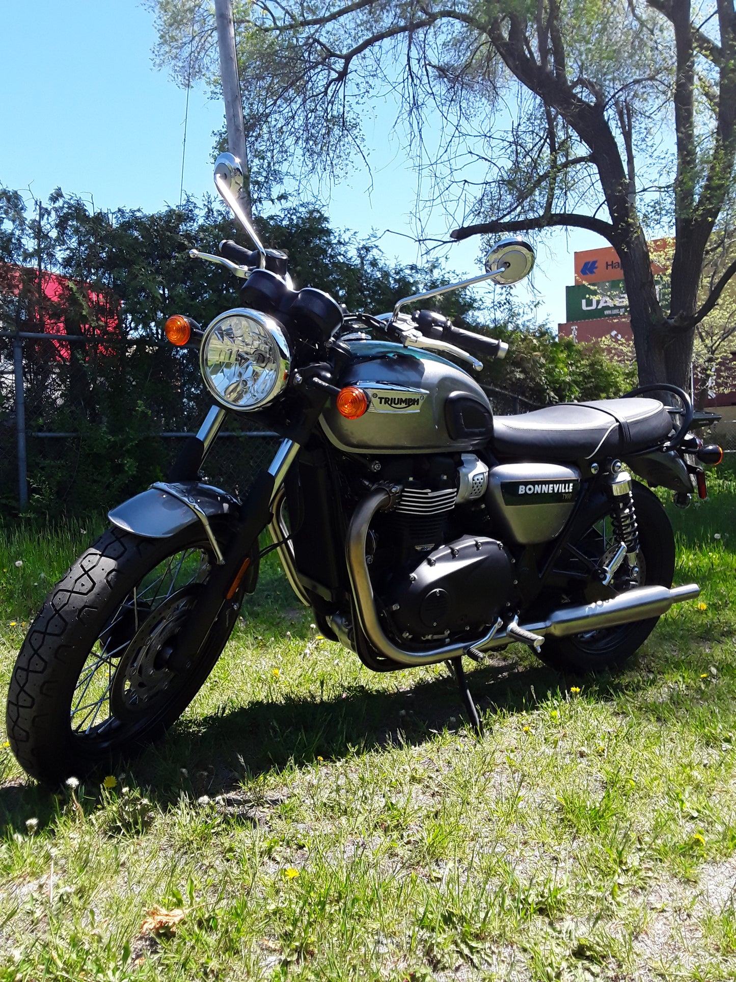 2022 T100 GOLD EDITION
