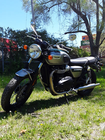 2022 T100 GOLD EDITION