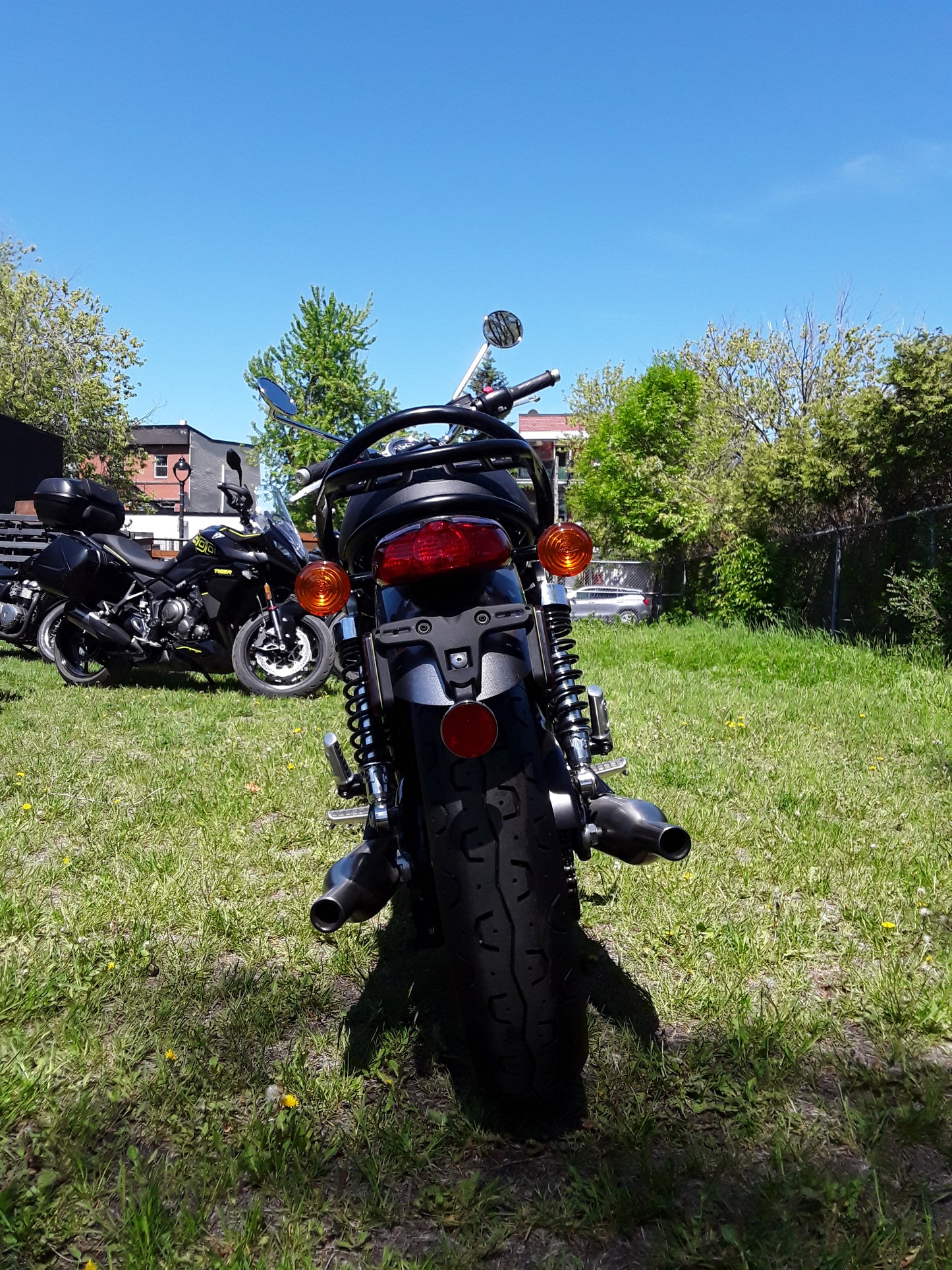 2022 T100 GOLD EDITION